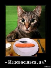 Образ кошки в демотиваторах