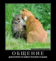 Образ кошки в демотиваторах