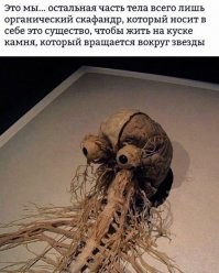 В РПЦ оскорбились из-за анатомической выставки в Москве