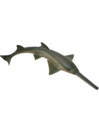 Строительная бригада одним словом! Пила,молот и "болгарка"