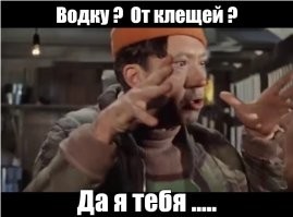 Как защитить собаку от клещей?