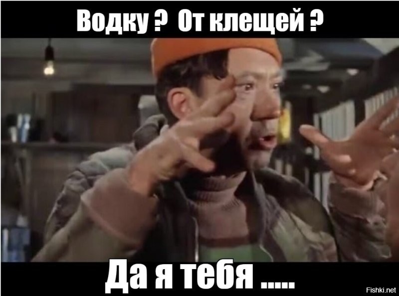 Как защитить собаку от клещей?