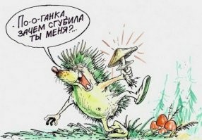 Юмор из соцсетей