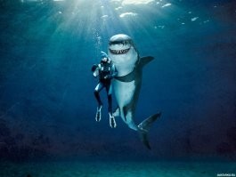 Смешные и познавательные картинки