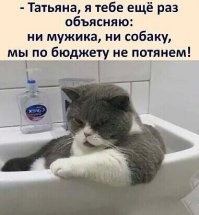 Вечерние воскресные мемы и другое