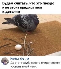 Самые искусные пернатые архитекторы России