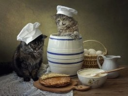 к блинам надо добавить котиков... для гармонии...