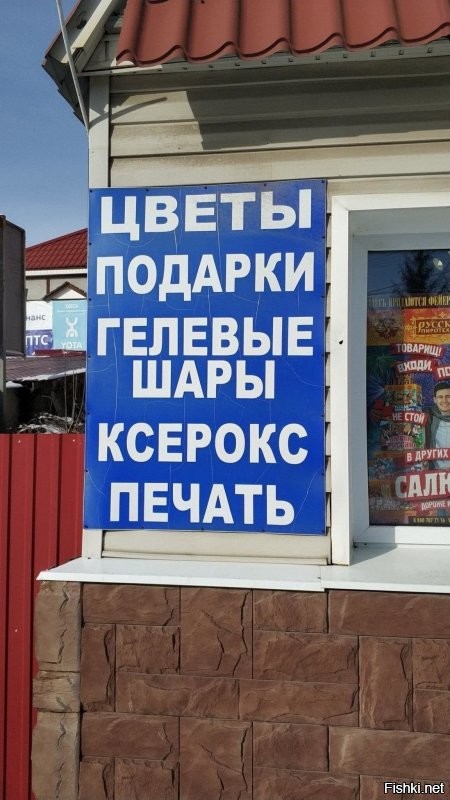 Забавные ошибки и опечатки. Учим русский язык