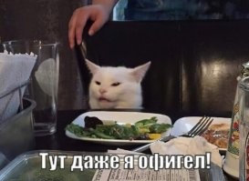 Смешные и познавательные картинки
