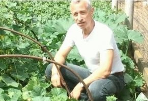 Опасность сочетания огурцов и помидоров в салате оказалась преувеличенной