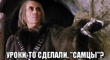 Смешные и познавательные картинки