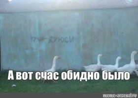20 фото, которые откроют свою суть только после внимательного осмотра