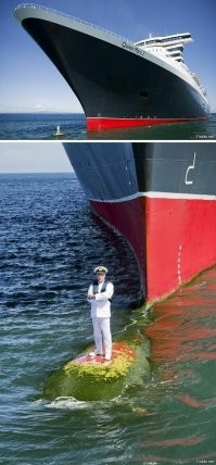 Фотоподборка