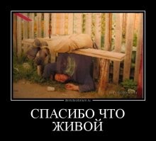 Намешалось