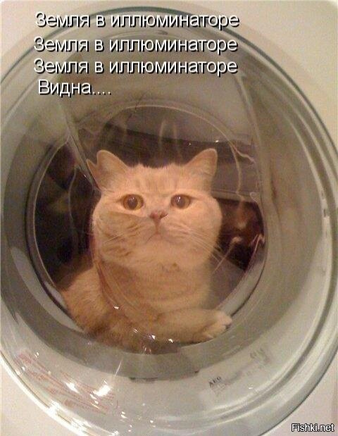 Здравствуйте вы меня слышите