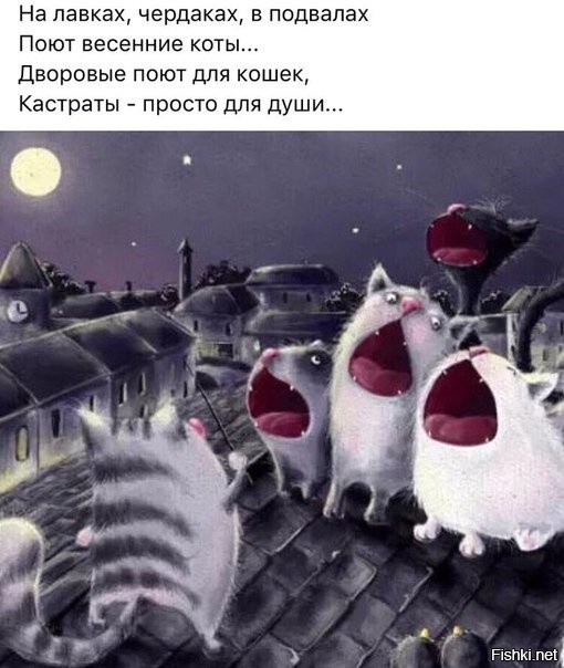 Солянка от 16.03.2021