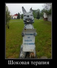 Намешалось