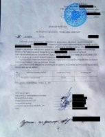 "Справку принеси!": в край упоротые ситуации, которых бы не было без бюрократизма
