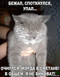 Смешные и познавательные картинки