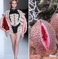 Не, здесь другой совсем наряд должен быть