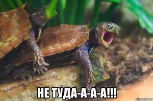 Всё вразнобой