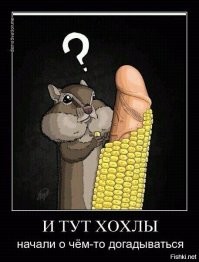 Украина в конце февраля закупила вакцину Covishield