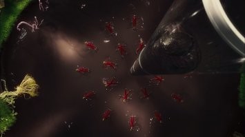 Это где такой дизайн делают?