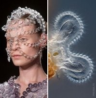 Так правильнее -