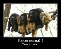Намешалось
