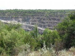 Намешалось