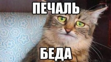 Вот печаль-беда, а здесь, так, легкое огорчение