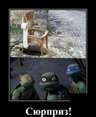 17 убойных канализационных неожиданностей