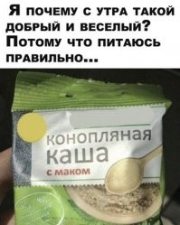 Смешные и познавательные картинки