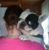 Веселые  картинки