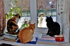 Да по-разному