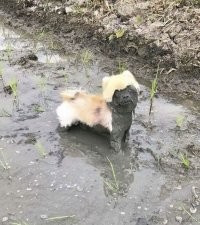 Мемы и смешные картинки серединки недели