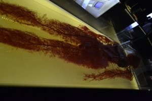 Был на этой выставке в 2014 году в Барселоне.  Зашло) Сам сходил, потом с женой и детьми.