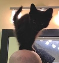 И не только на плечах!