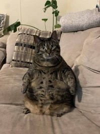 Мемы и смешные картинки четверга