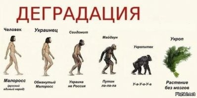 Смешные и познавательные картинки