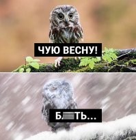 Намешалось