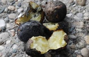 Картошка на костре...у меня уже слюни потекли!