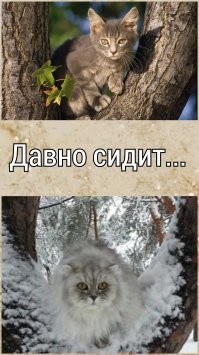 Шо,опять?!Подборка древних  баянистых демотиваторов