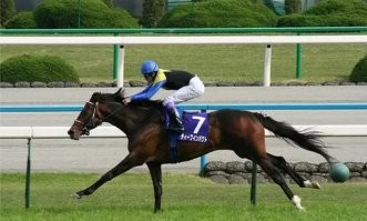 Намешалось