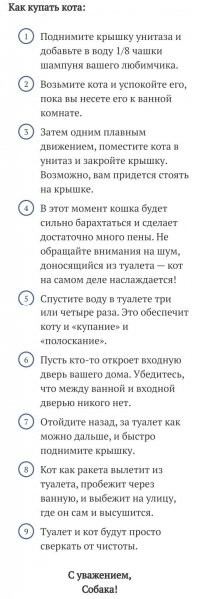 Смешные и познавательные картинки