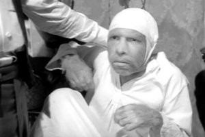 Пес из Англии пугает прохожих "человеческими" чертами