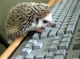 Перекрыть воду, отвинтить радиатор, вынуть ёжика, собрать как было. Зачем резать.