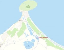 Смешные и познавательные картинки