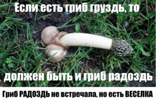 Картинки с надписями