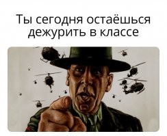 Мемы и смешные картинки 